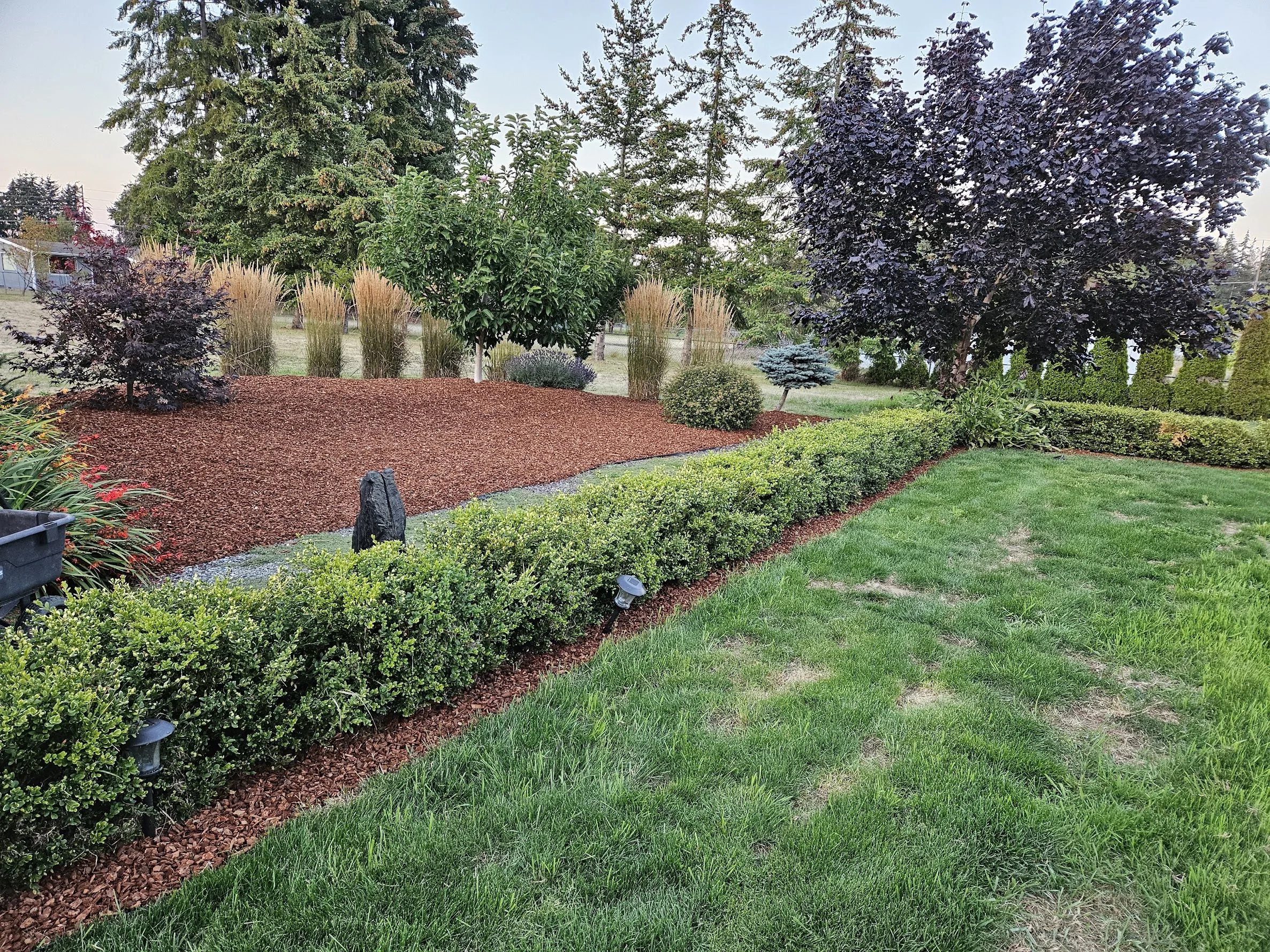 Yard cleanup and landscape maintenance example