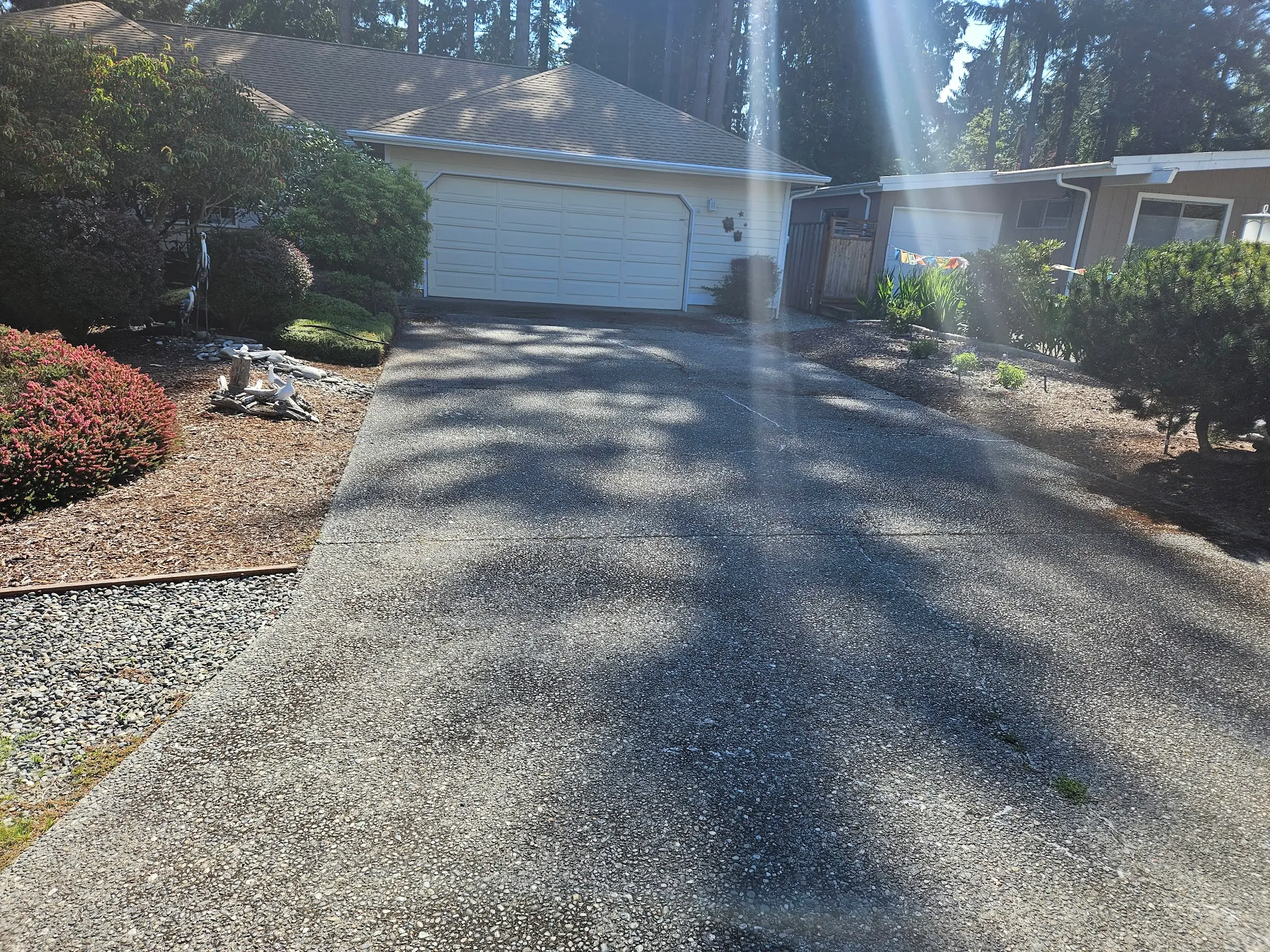 Yard Cleanup & Landscape Maintenance